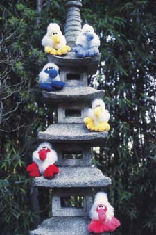 Photo © 1987 Dr Frederick Lenz